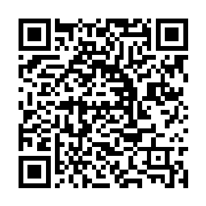 足以让每一个兰花爱好者为之疯狂的龙王兰被毁了二维码生成