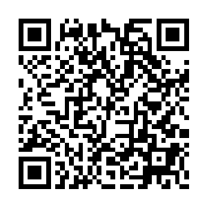 足以说明韩风手中的圆珠是多么令人吃惊的存在二维码生成