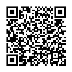 足以隐瞒神灵的潜行在部分魔物面前竟然失去了作用二维码生成