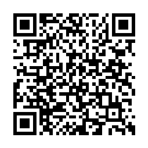 足可见南翔方才的出手是有多么快速与出其不意二维码生成