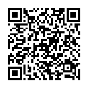 足够让镇界鼎的内部成为一个数十万人口的县城了二维码生成