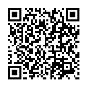 足够赔偿我们所有的损失――可是你一定不知道二维码生成