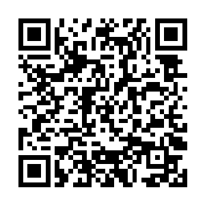 足足在绕海岛的周边海岸五十多个点做好了木筏藏好二维码生成