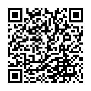 足足用了半个时辰的时间才将整个宝库扫荡一空二维码生成