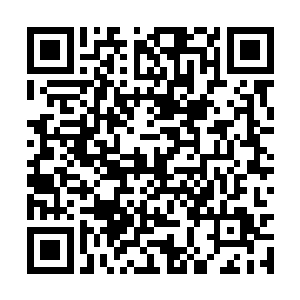 趴在前台的桌子上一字一顿的对着前台的美女说道二维码生成