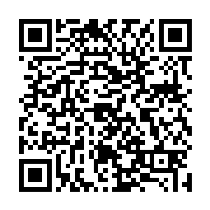 趴在喷火龙的尸体背上的高扬手中瞬间喷出了一条火龙二维码生成