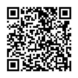 趴在树杈上的白振东的确想不到其他办法去驱逐黑熊二维码生成