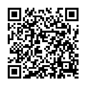 趾高气扬的山内武人还未伤害到两个扑街道士分毫二维码生成