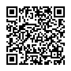 跃上楼层的巴克同样看见电梯间外面的斑斑血迹二维码生成