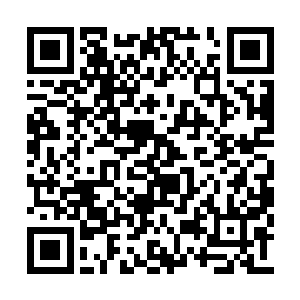 跆拳道不过是棒子国的一种文化入侵的方式而已二维码生成