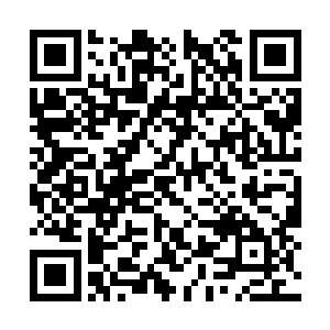 跌落在地上的半截旗杆只挂着巴掌大小的一块破布二维码生成