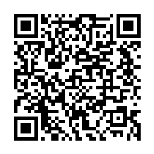 跌落得昏头转向的四人刚要爬起来想再进去求饶时二维码生成