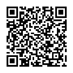 跑到音乐部的录音室那边去关心一下目前在录的几张专辑二维码生成