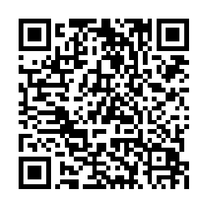 跑在最前面的是一个全身近乎黑色的邪异狮头人二维码生成