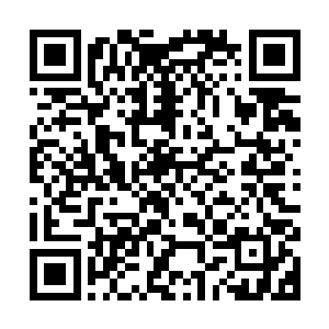 跑过来围观的男生们一个个看到战斗机都是一副热血沸腾的样子二维码生成