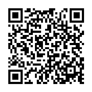 距离下邳城的曹仁青州军不到五十里的一处平野上二维码生成