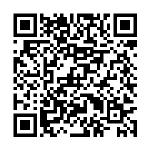 距离争夺进入修真界名额的比武日期已经越来越近二维码生成