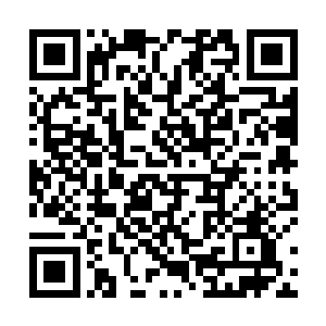 距离他们约莫二十米开外的骆迩翔自然看不见它的存在二维码生成