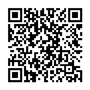距离他最近的几名佣兵也纷纷向着他的方位快速的奔跑而来二维码生成