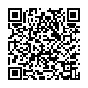 距离他最近的那个女仙看他露出那副表情也是怔楞二维码生成