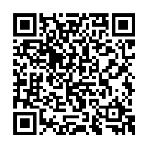 距离杨风等人金属生命并不算遥远的一座山脉上二维码生成