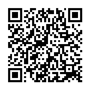 距离沈剑断去莫云一条手臂已经过去了一个月的时间了二维码生成