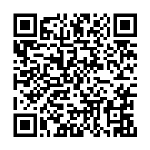 距离熬过这一次的天地之威只差最后这一点点了二维码生成