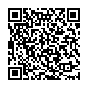 距离赵纯良的后背大概也就只有三四公分左右的距离二维码生成