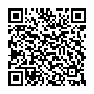 距离赵虎击杀那只黑暗魔虎已经过去了三个月了二维码生成