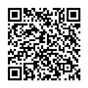 距离那头太古红龙被火山震醒的日子也差不多了二维码生成