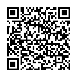 距离霜落峡谷就很近了……如果不是刚好有着这群向导二维码生成