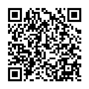 跟一个上位神级别的人类较真在他眼中可是十分的有二维码生成