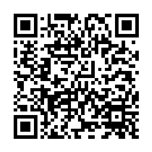 跟了夫人这么多年只怕早就从侯爷那边帮你们谋取实缺了二维码生成