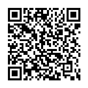 跟他一同出来的黄埔云却突然开口对叶秋了一句二维码生成