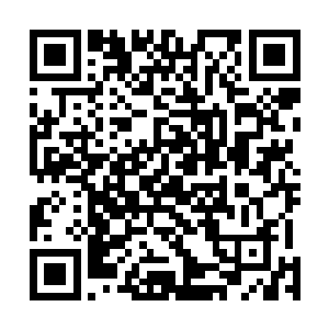 跟他一边吃早饭一边与他虚与委蛇的研究弹劾阁老的奏疏二维码生成