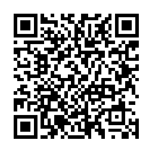 跟他几乎心神相连的圣兽兽魂的气息明显变得非常不一样了二维码生成