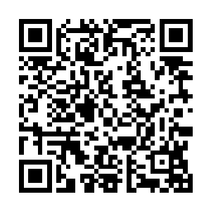 跟他老爹周阳华因为娶了十三房姨太太而闻名江湖差不多二维码生成
