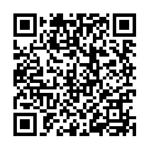 跟别的科技公司管事的总会隔三差五的在媒体上露露脸不同二维码生成