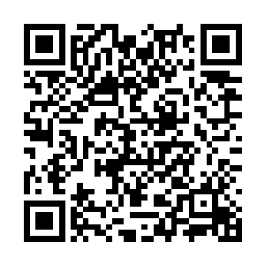 跟卢向东同桌的竟然还有今天凌晨看到了那个女孩二维码生成