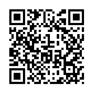 跟只绿色的壁虎一样在书架上爬行二维码生成