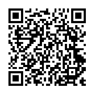 跟吴陀换血的那只猴子的体内有一滴狻猊神兽的血脉二维码生成