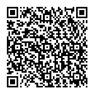 跟在一群叽里呱啦说着粤语的外商和嘀嘀咕咕说着普通话的全省各地官员堂而皇之的进入会场二维码生成