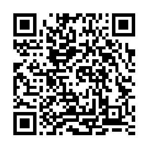 跟在后面的一干宫女太监们连萧黎昨天晚上那个样子都见过了二维码生成