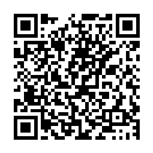 跟在戴恩恩身后对着充满少数民族特色风味的小吃发起了进攻二维码生成