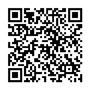 跟在林烽身边的几个人一眼就看出来了林烽眼中的阴沉二维码生成