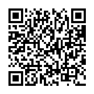 跟在身后的林源已经抱着一个巨大的琴盒走了上来二维码生成