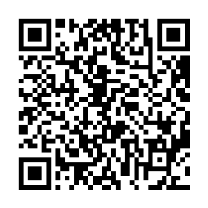 跟在陆叔叔身边……陆天养唇边勾起一抹愉悦的笑容二维码生成