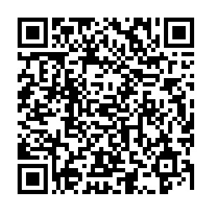 跟大伯走在一起的其他学子对朱平安这位被蛇咬闻啼鸟的柴房大才的回答二维码生成