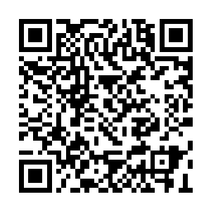 跟宋链差距实在是太大了……宋链想要将其击杀二维码生成