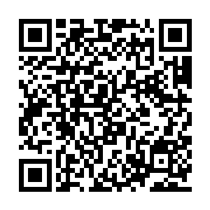 跟小耗子似的从位置上起身去拿那盘洗好的草莓二维码生成